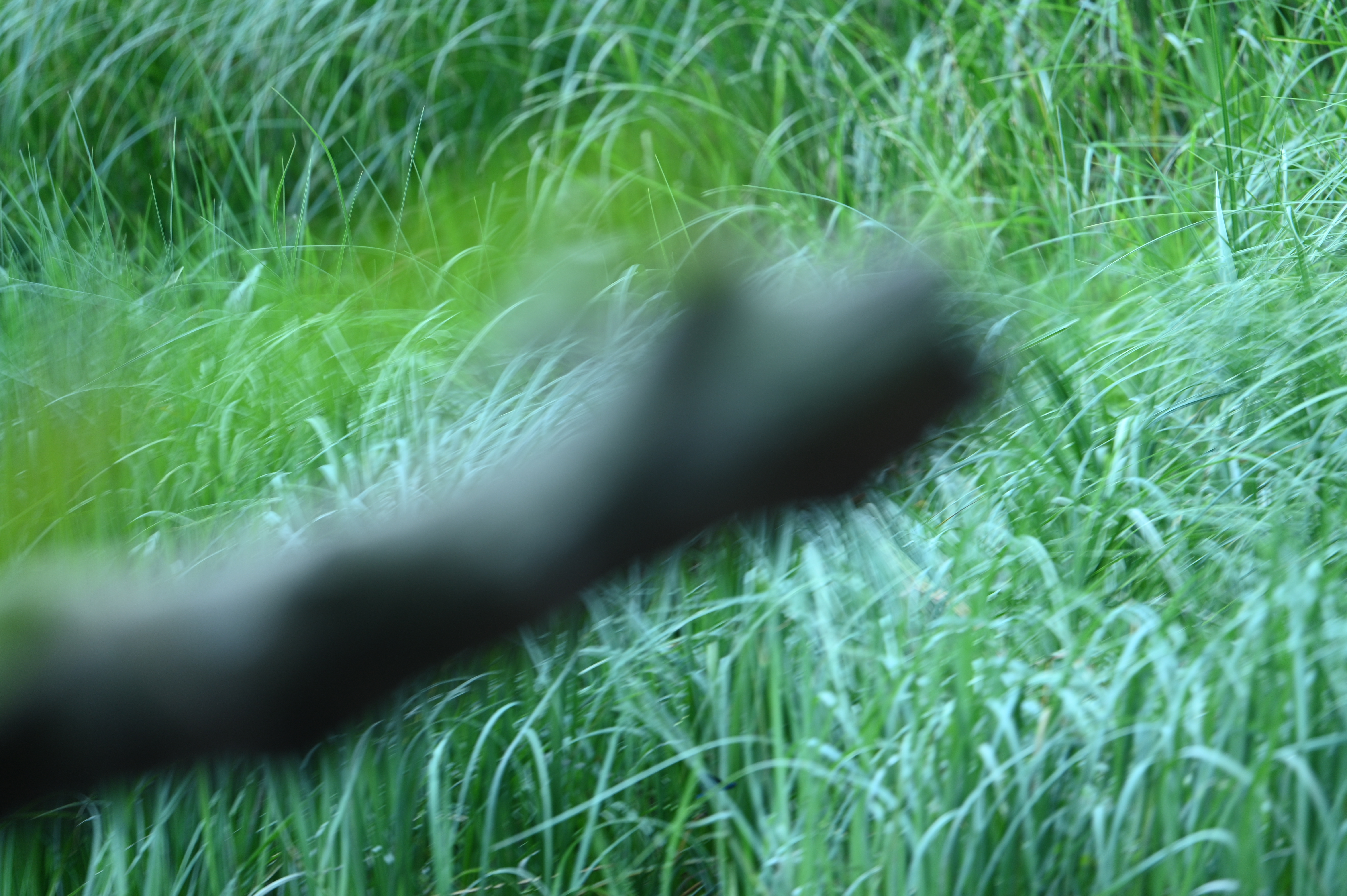 2025/07/09-14 - trip/DSC_0414.JPG